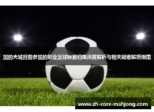 加的夫城目前参加的职业足球联赛归属深度解析与相关疑难解惑指南