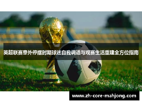 英超联赛意外停摆时期球迷自我调适与观赛生活重建全方位指南 英超联赛意外停摆时期球迷自我调适与观赛生活重建全方位指南