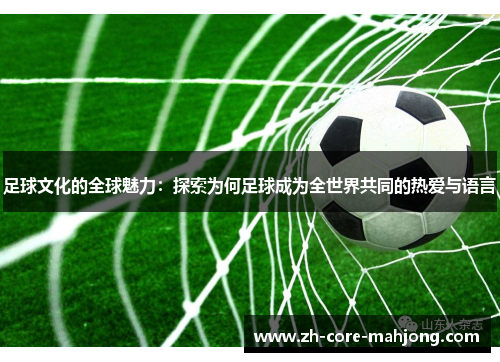 足球文化的全球魅力：探索为何足球成为全世界共同的热爱与语言