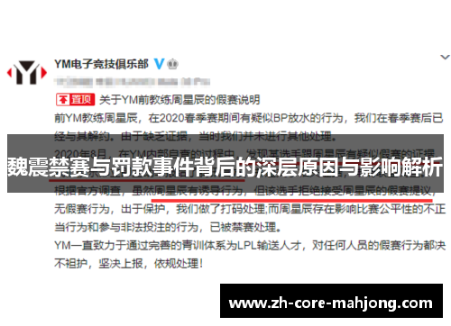 魏震禁赛与罚款事件背后的深层原因与影响解析